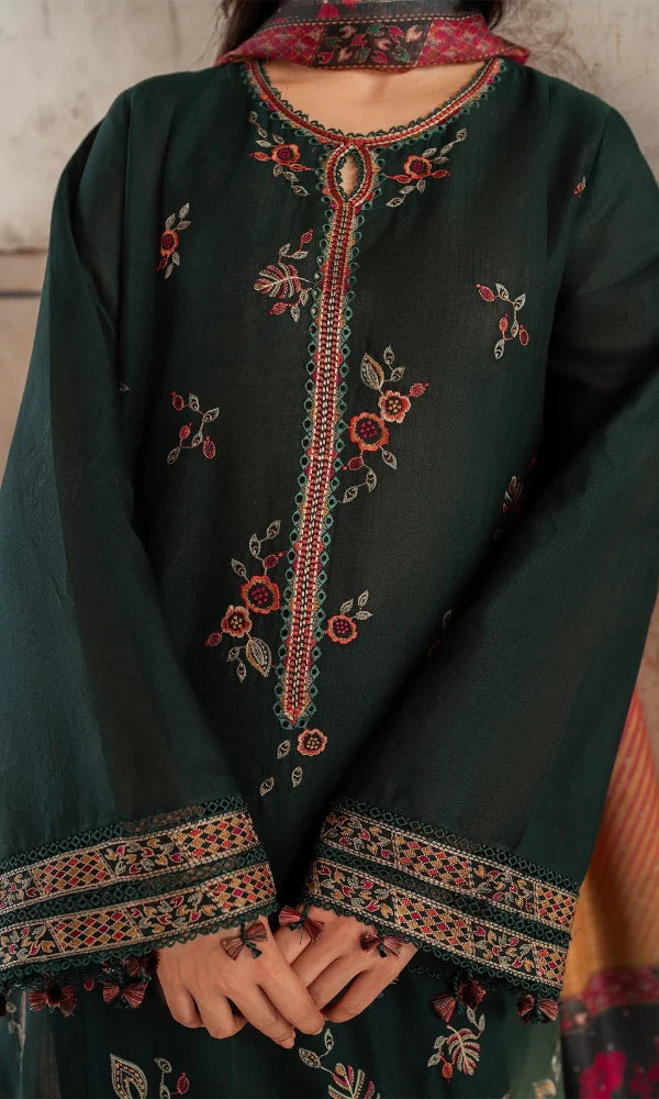 JZ 580-3 Piece Unstitched Embroidered Dhanak Fabric with Printed Wool Shawl